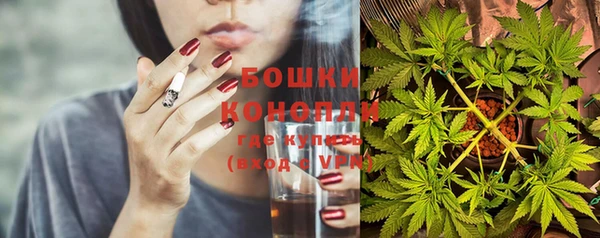 дживик Гусиноозёрск