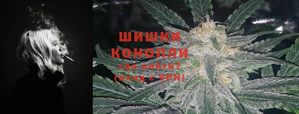 гидропоника Гусев