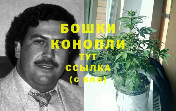 дживик Гусиноозёрск